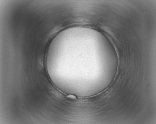 X0000068901451200605192148