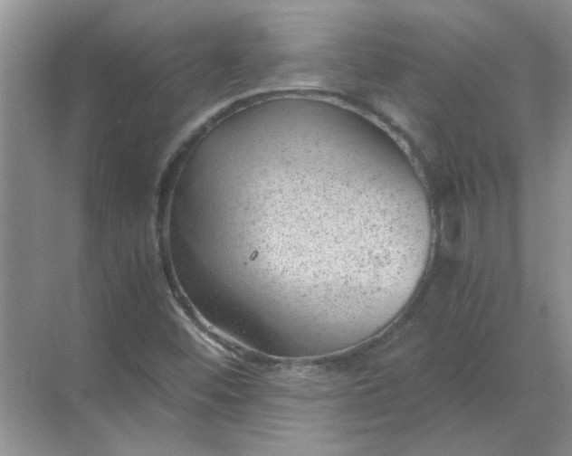 X0000068901452200605192148