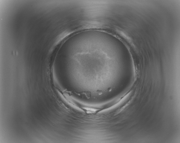 X0000068901453200605192148