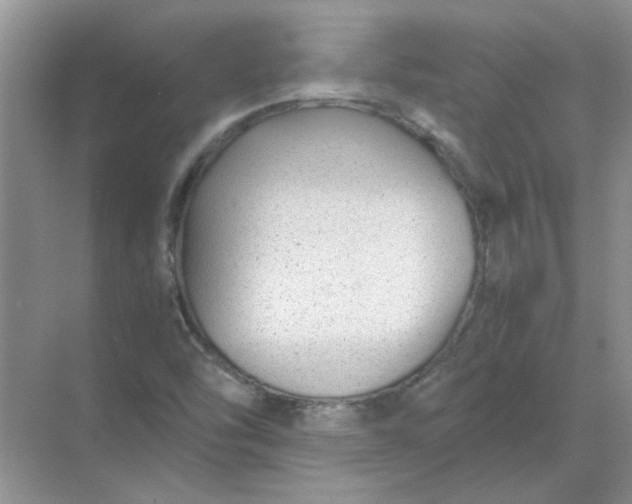 X0000068901454200605192148