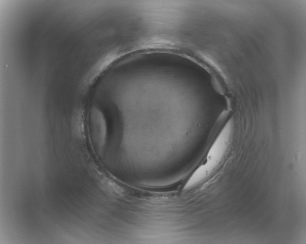 X0000068901455200605192148