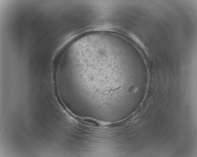 X0000068901456200605192148