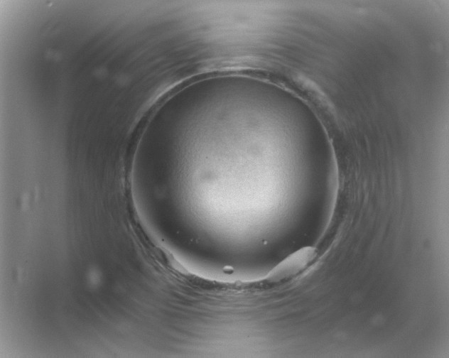 X0000068901457200605192148