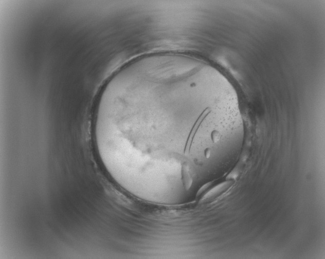 X0000068901459200605192148