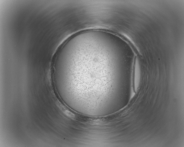 X0000068901460200605192148