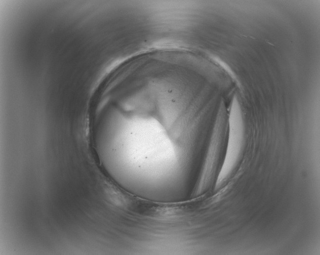 X0000068901461200605192148