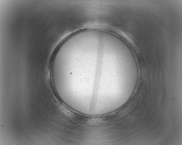 X0000068901462200605192148