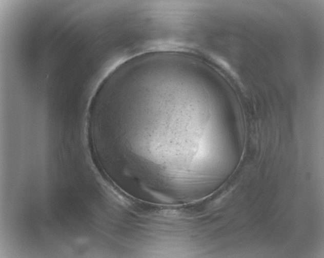 X0000068901463200605192148