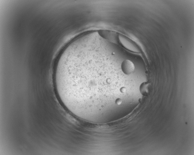 X0000068901464200605192148