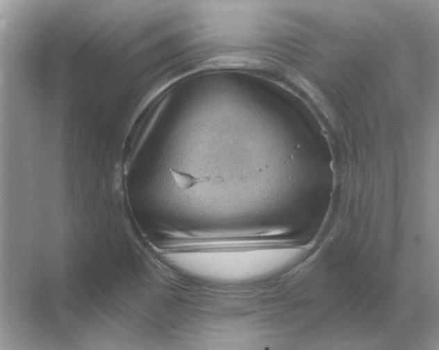 X0000068901465200605192148