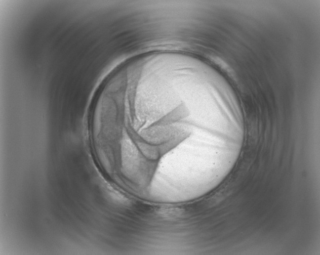 X0000068901466200605192148