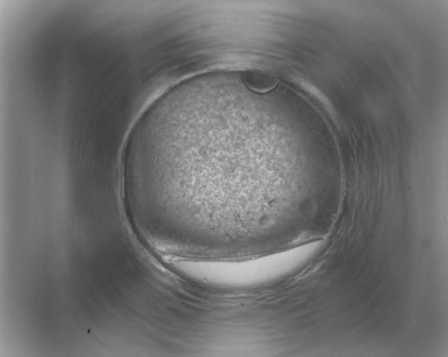 X0000068901467200605192148