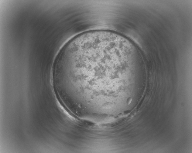 X0000068901468200605192148