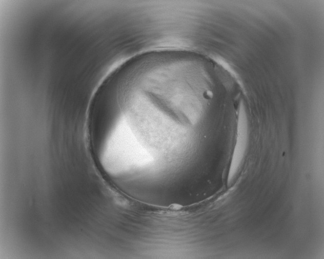 X0000068901469200605192148