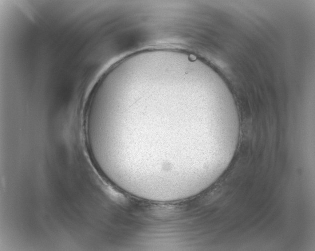 X0000068901470200605192148