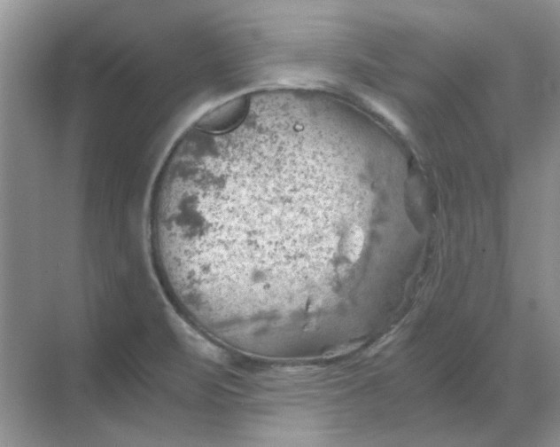 X0000068901471200605192148