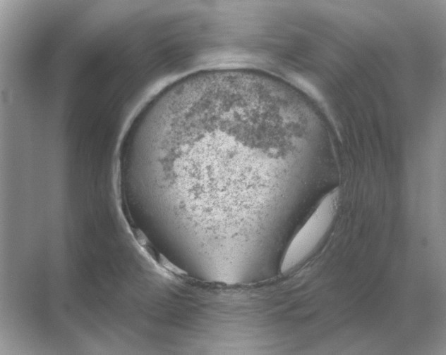 X0000068901472200605192148