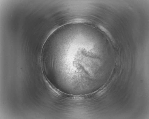 X0000068901473200605192148