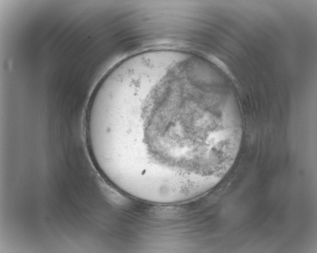 X0000068901474200605192148