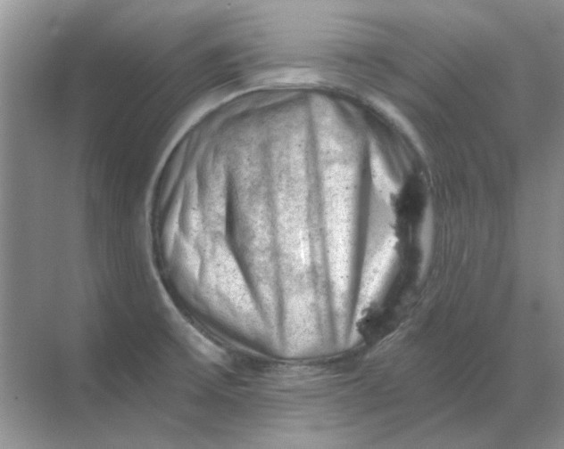 X0000068901475200605192148