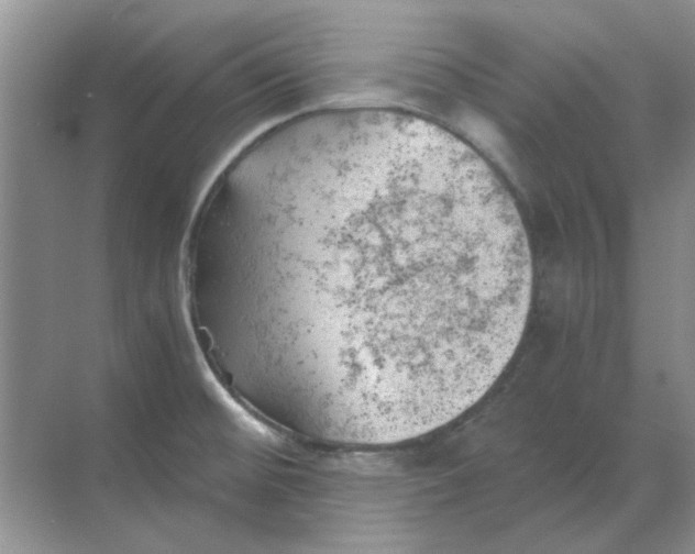 X0000068901476200605192148