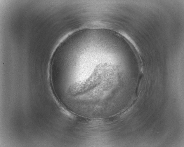 X0000068901477200605192148