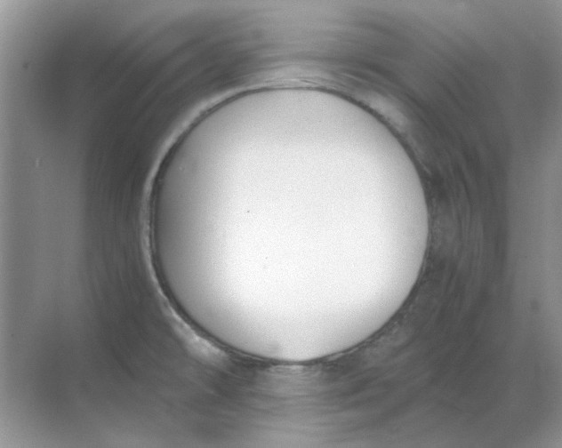 X0000068901478200605192148