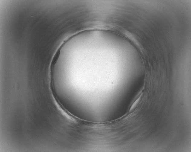 X0000068901479200605192148