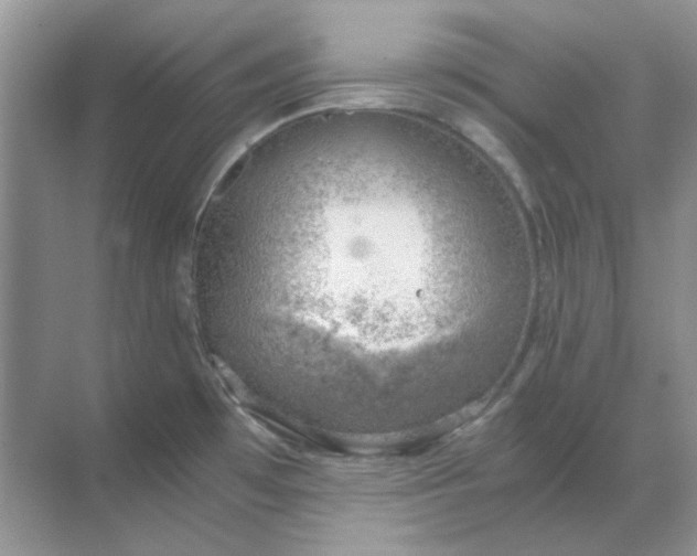 X0000068901481200605192148