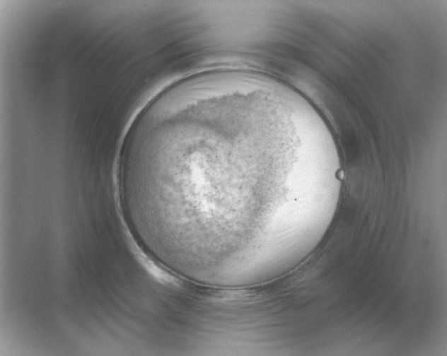 X0000068901482200605192148