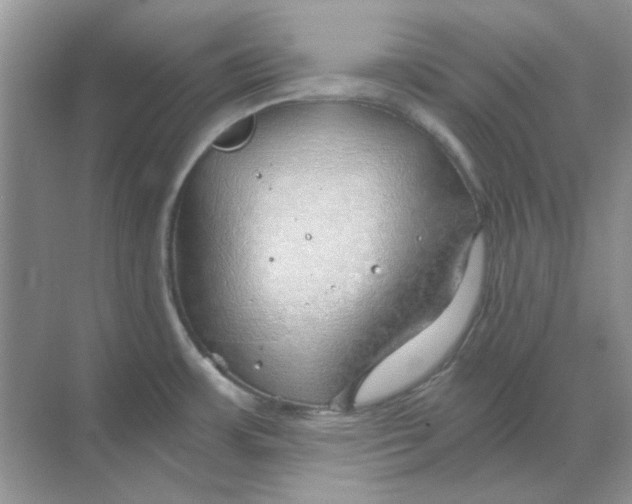 X0000068901483200605192148