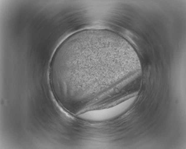 X0000068901484200605192148