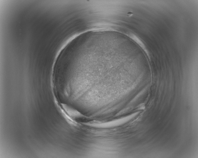 X0000068901485200605192148