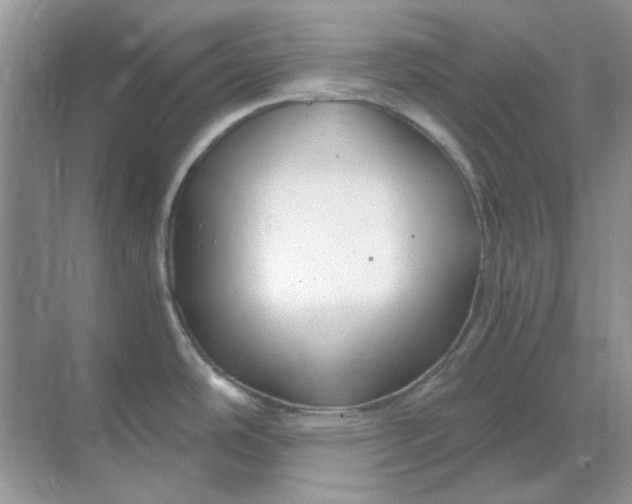 X0000068901486200605192148