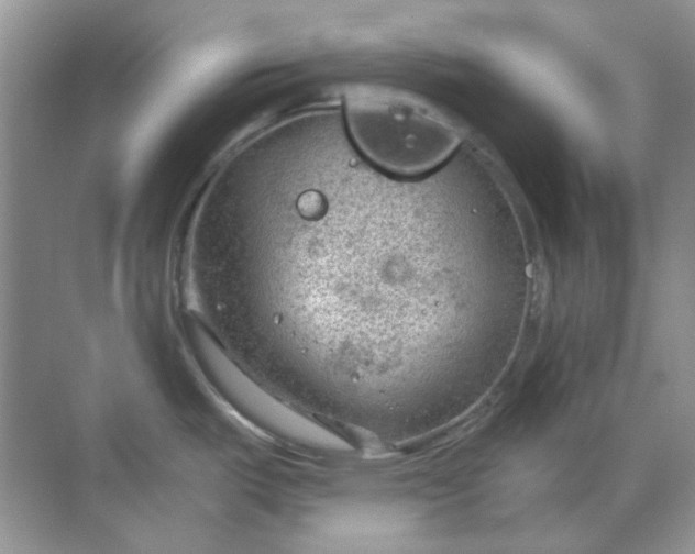 X0000068901487200605192148