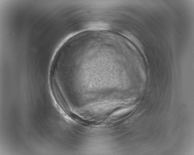 X0000068901488200605192148