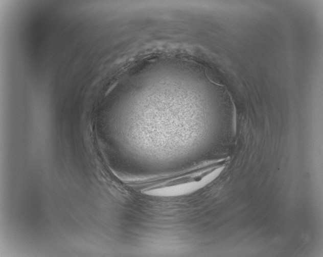 X0000068901489200605192147