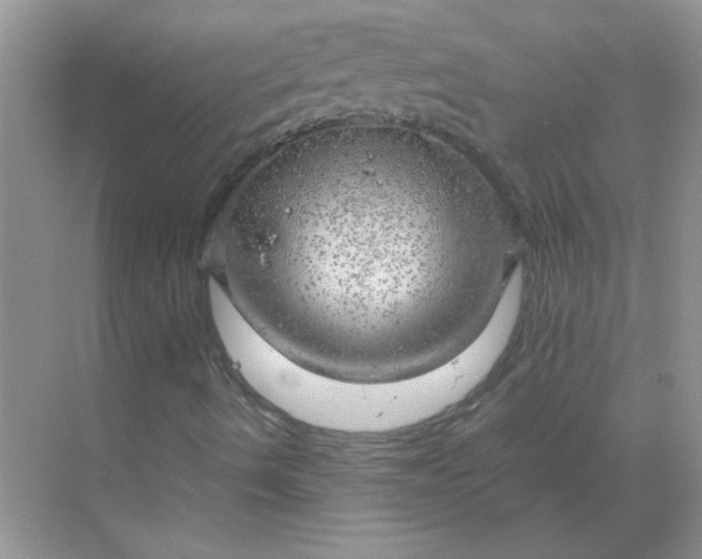 X0000068901490200605192147