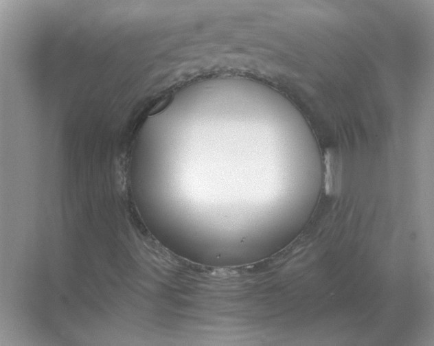 X0000068901491200605192147