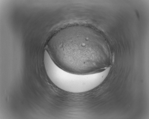 X0000068901492200605192147