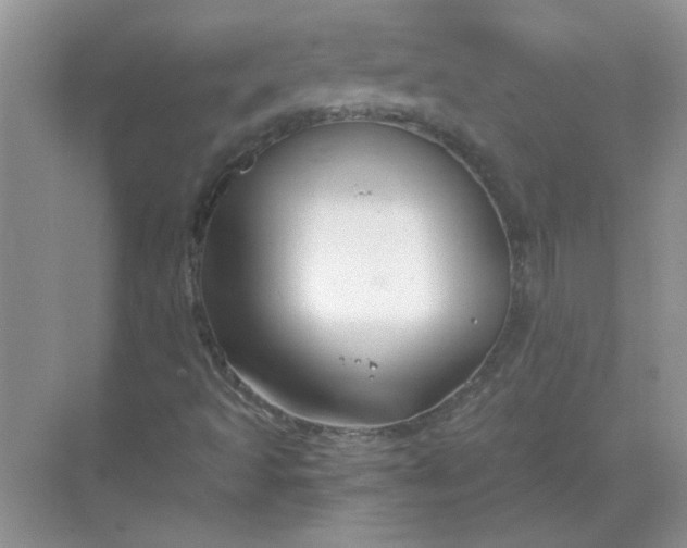 X0000068901493200605192147