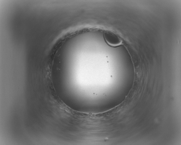 X0000068901495200605192147