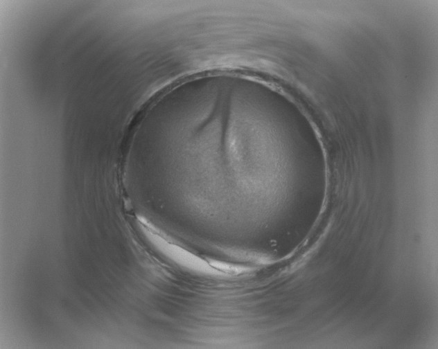 X0000068901497200605192147