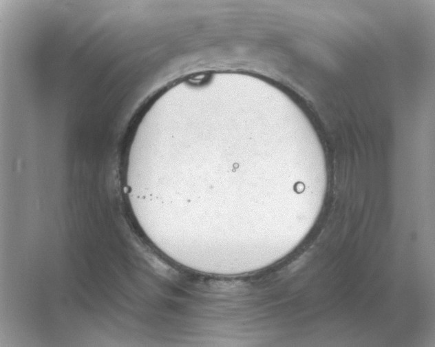 X0000068901498200605192147