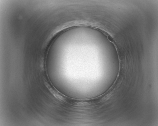 X0000068901499200605192147