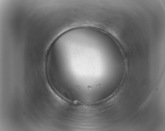 X0000068901500200605192147