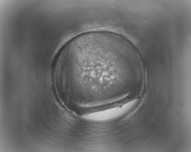 X0000068901501200605192147