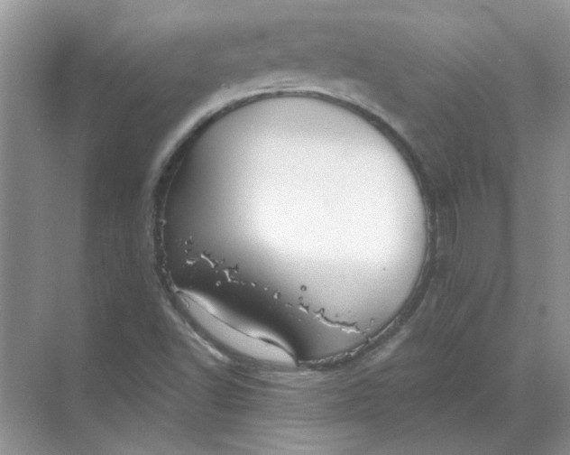 X0000068901502200605192147