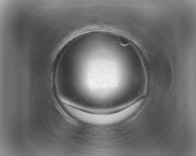 X0000068901503200605192147