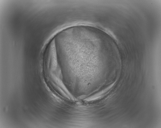 X0000068901504200605192147